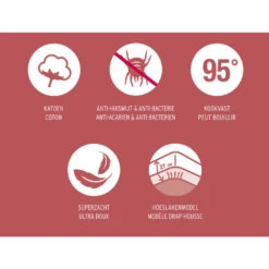 Mistral Home - Matrasbeschermer Molton - 100% Katoen - 160x200x27 Cm 5 Mistral Home - Matrasbeschermer Molton - 100% Katoen - 160x200x27 Cm -Bedden Bij Leen Bakker 1309583707 0101