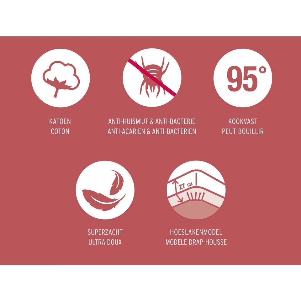 Mistral Home - Matrasbeschermer Molton - 100% Katoen - 160x200x27 Cm 4 Mistral Home - Matrasbeschermer Molton - 100% Katoen - 160x200x27 Cm - Afbeelding 2