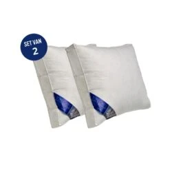 Ten Cate Boxkussen - Halfdons - 60x70 - 2 Stuks 9 Ten Cate Boxkussen - Halfdons - 60x70 - 2 Stuks -Bedden Bij Leen Bakker 1f21edeee77b4d558e4e9094c8fe9b22