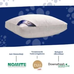 Ten Cate Boxkussen - Halfdons - 60x70 - 2 Stuks 10 Ten Cate Boxkussen - Halfdons - 60x70 - 2 Stuks -Bedden Bij Leen Bakker 95fced2aff51488bbcc424e383656ba5