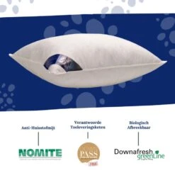 Ten Cate Halfdonzen Hoofdkussen - 60x70 - 2 Stuks 13 Ten Cate Halfdonzen Hoofdkussen - 60x70 - 2 Stuks -Bedden Bij Leen Bakker 9866263dadb142b29f8a7e37ad7fb681