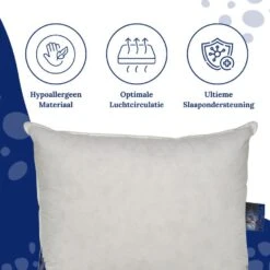 Ten Cate Halfdonzen Hoofdkussen - 60x70 - 2 Stuks 12 Ten Cate Halfdonzen Hoofdkussen - 60x70 - 2 Stuks -Bedden Bij Leen Bakker b9b70263ee92424ab3a1eb88c099f9e2