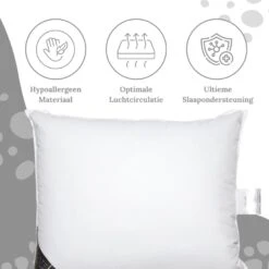 Ten Cate - Synthetisch Hoofdkussen - 60x70 -Bedden Bij Leen Bakker dd706ec4a9074ddf9ac24503ac19f30b